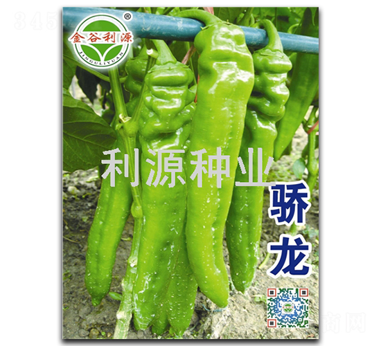 ���-�����N��-��Դ�N�I(y��)