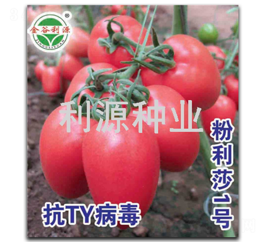 ����ɯ1̖-���ѷN��-��Դ�N�I(y��)