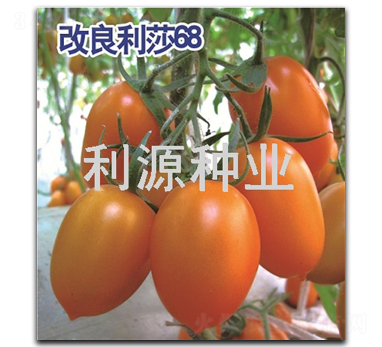 ������ɯ68-���ѷN��-��Դ�N�I(y��)