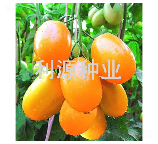 ���m��ɯ88-���ѷN��-��Դ�N�I(y��)