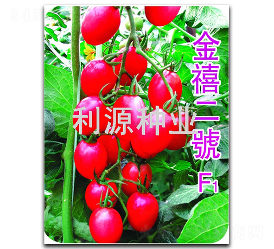 ������̖-���ҷ��ѷN��-��Դ�N�I(y��)