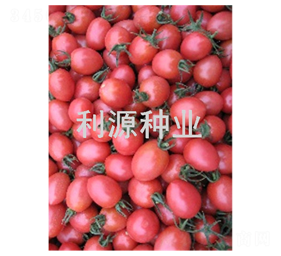 ������̖(h��o)-���ҷ��ѷN��-��Դ�N�I(y��)