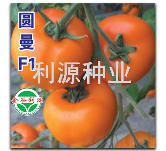 �A��-���ѷN��-��Դ�N�I(y��)