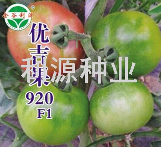 ��(y��u)����920-���ѷN��-��Դ�N�I(y��)