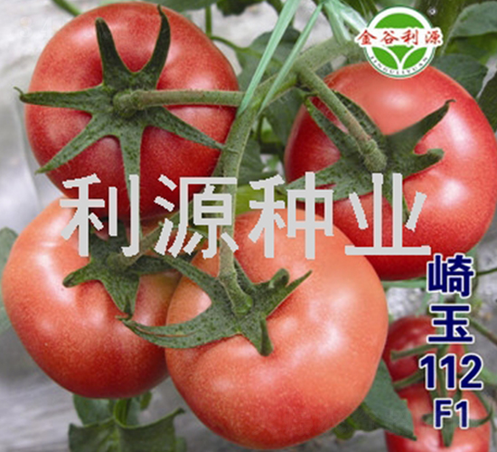 ����112-���ѷN��-��Դ�N�I(y��)