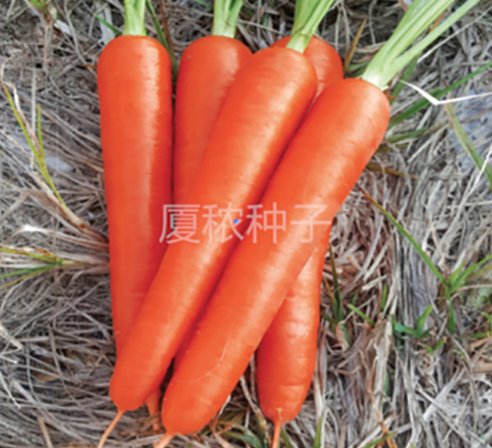 ���167-���}���N��-�B���r(n��ng)�I(y��)