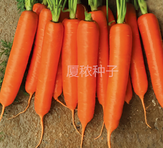 혼t�ߴ�-���}���N��-�B���r(n��ng)�I(y��)