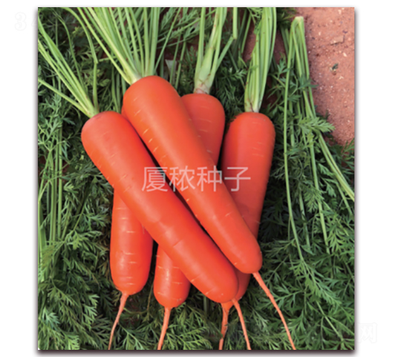 ������909-���}���N��-�B���r(n��ng)�I(y��)