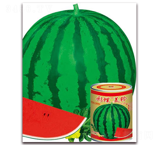 �ʵ�������-���ϷN��-�A�r(n��ng)�N�I(y��)