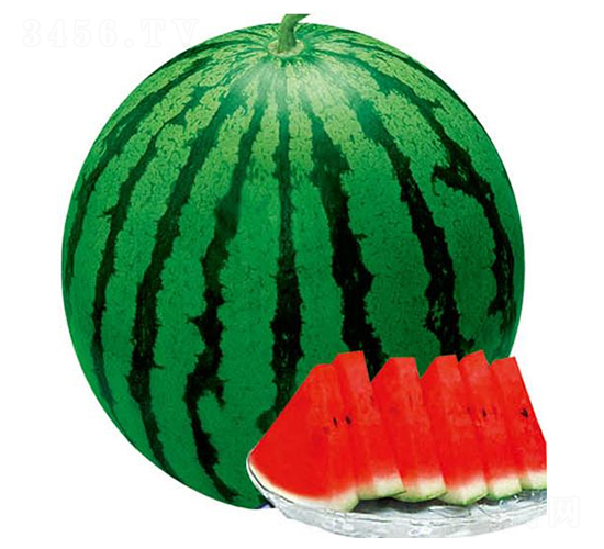 ����������-���ϷN��-�A�r(n��ng)�N�I(y��)