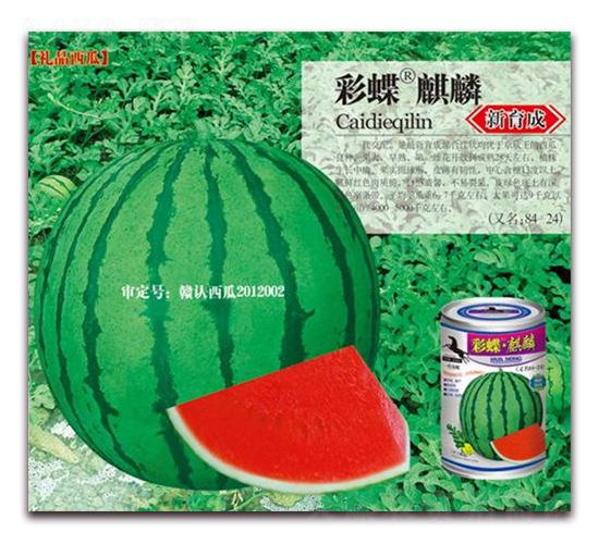 �ʵ�����-���ϷN��-�A�r(n��ng)�N�I(y��)