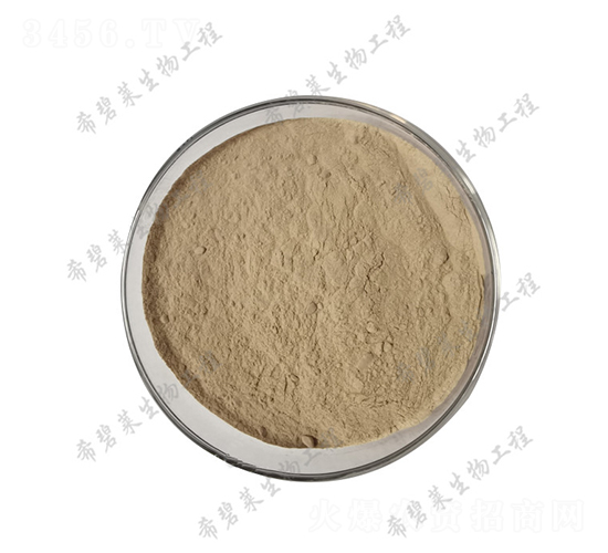 �z�|(zh��)ѿ�ߗU��-ϣ���R����