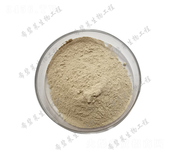 �����ѿ�ߗU��-ϣ���R����