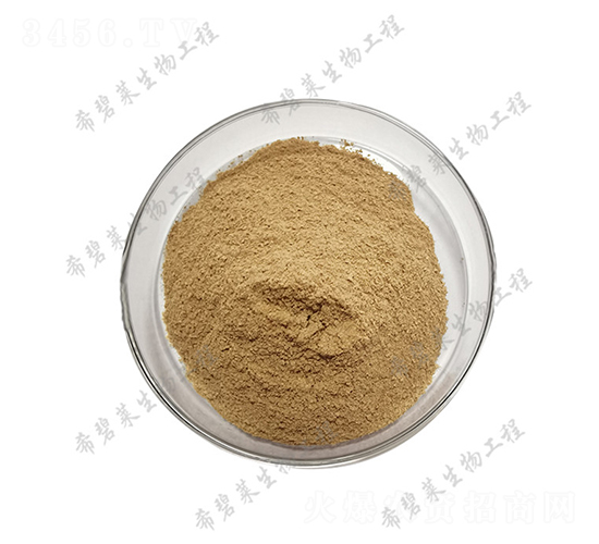 ��(c��)�߶�ѿ�ߗU��-ϣ���R����