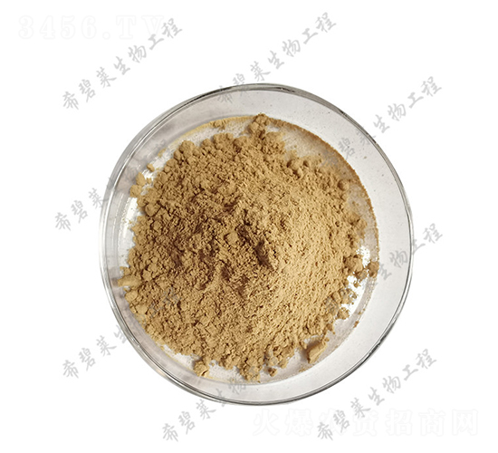 ����ѿ�ߗU��-ϣ���R����