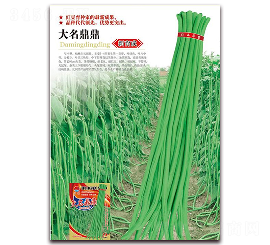 ��������-�����N��-�A�r(n��ng)�N�I(y��)