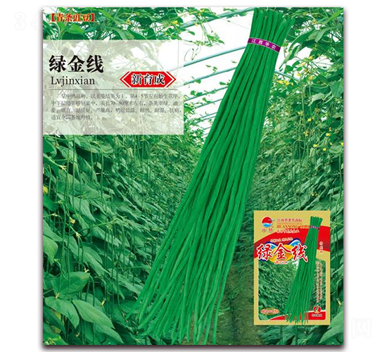 �G��-�����N��-�A�r(n��ng)�N�I(y��)