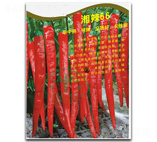 ����66-�����N��-���r(n��ng)