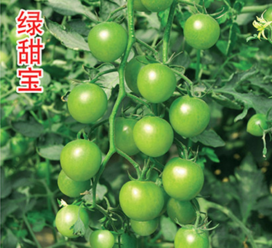 �G����-���ѷN��-�G����