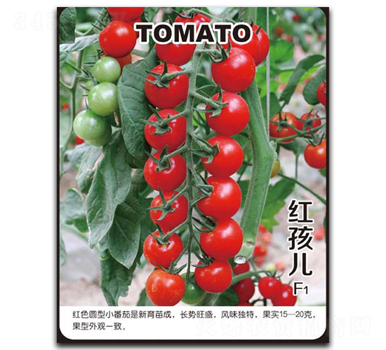 �t����-���ѷN��-�G����