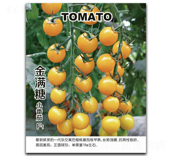 ��M��С����-���ѷN��-�G����