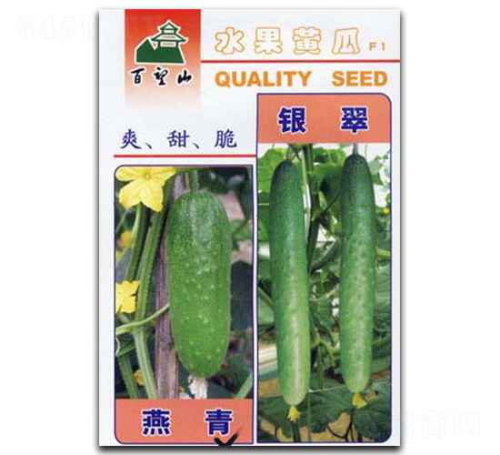 �y��-�S�ϷN��-�G����