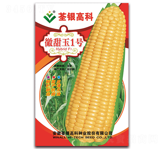 ������1̖(h��o)-�����׷N��-���y�ϲ�