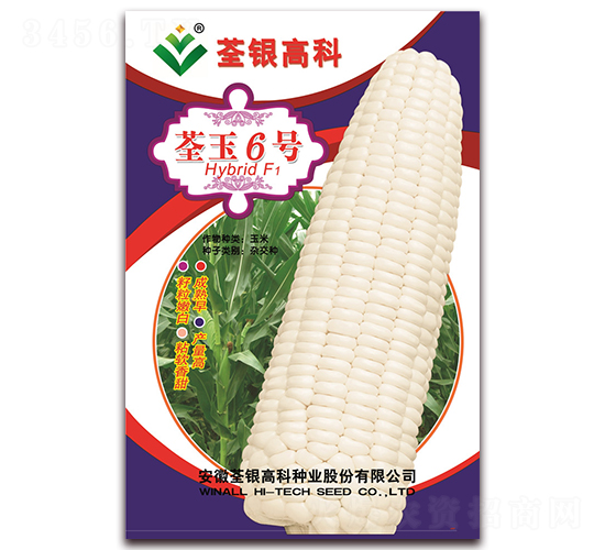 ����6̖(h��o)-Ŵ���׷N��-���y�ϲ�