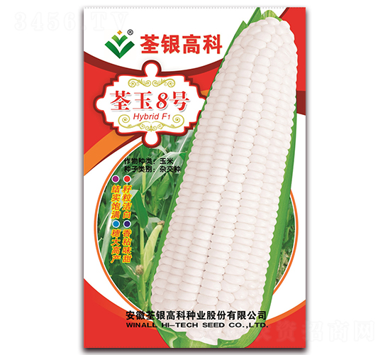 ����8̖-Ŵ���׷N��-���y�ϲ�