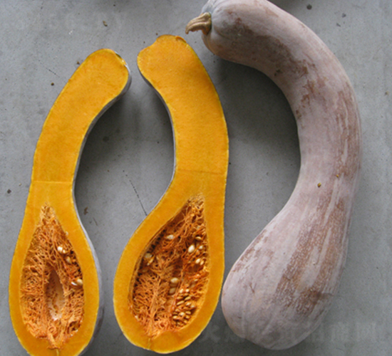 �s���S��-�ϹϷN��-���y�ϲ�