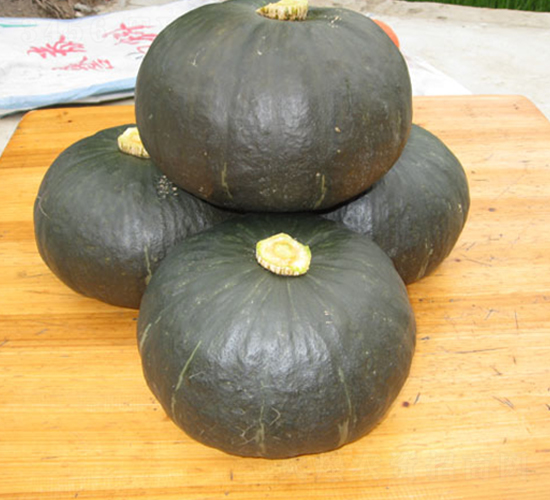 �ھ���̖(h��o)-�ϹϷN��-���y�ϲ�