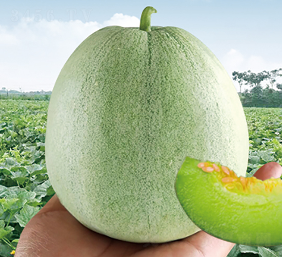 �������-��ϷN��-���y�ϲ�