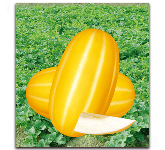 ������1̖-��ϷN��-���y�ϲ�