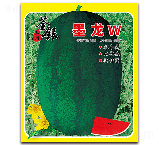 ī��W-���ϷN��-���y�ϲ�