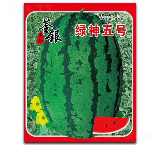 �G����̖-���ϷN��-���y�ϲ�