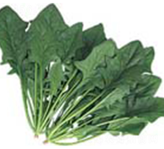 ȫ�ܲ���-���˷N��-������