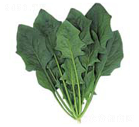 ��(qi��ng)������-���˷N��-������