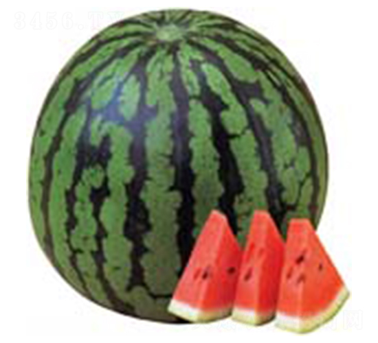 ����������-���ϷN��-������