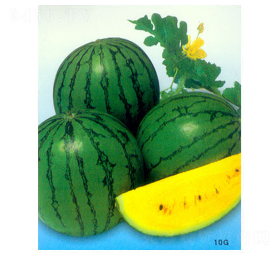 ��С�m-���ϷN��-������