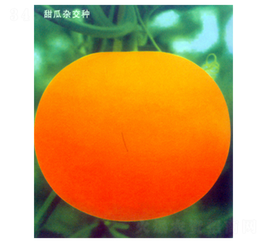 ������(y��u)�x����ɯ��-��ϷN��-������