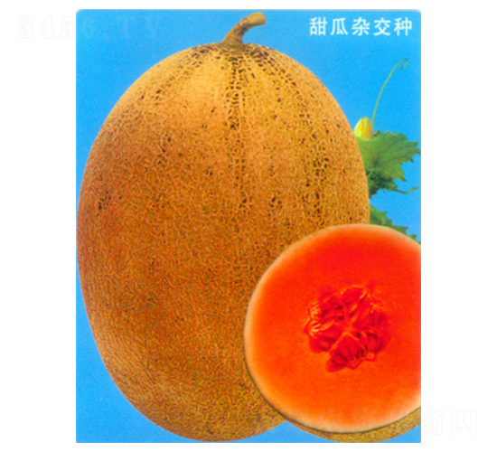 ����һ̖-��ϷN��-������