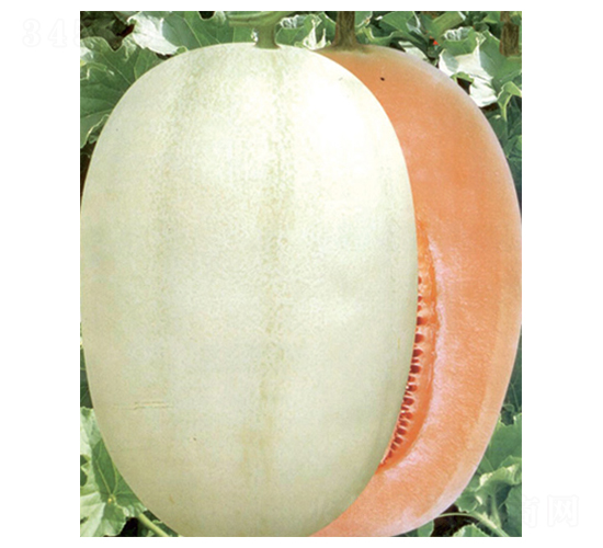 �|���t��-��ϷN��-������