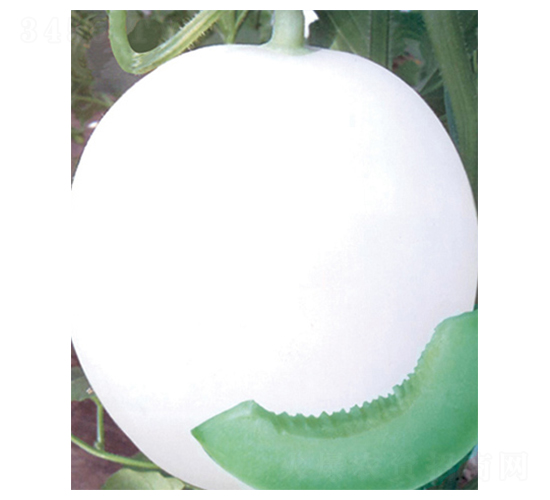 �G��ʹ-��ϷN��-������