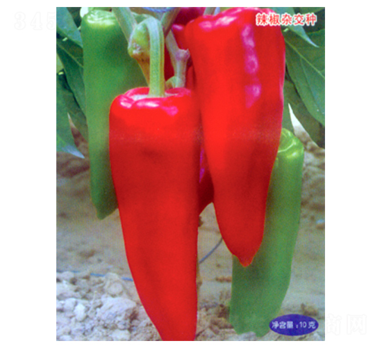 �пƽ�106-�����N��-������