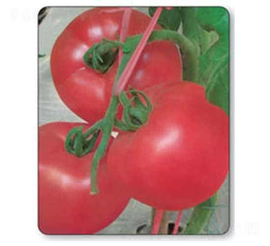 �W��-���ѷN��-������