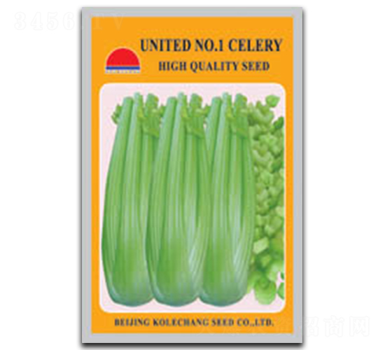 ������1̖-�۲˷N��-������