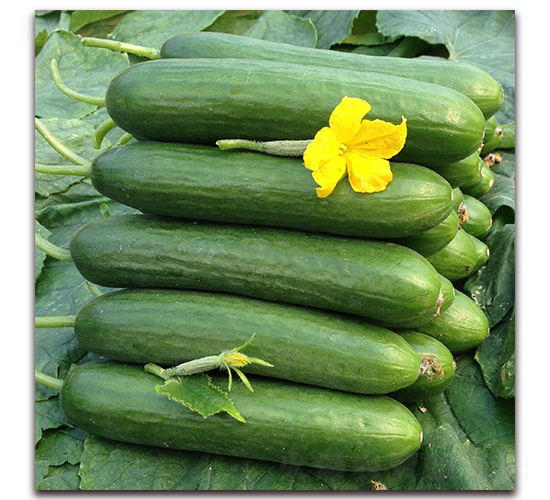 �̴�19-�S�ϷN��-�����r