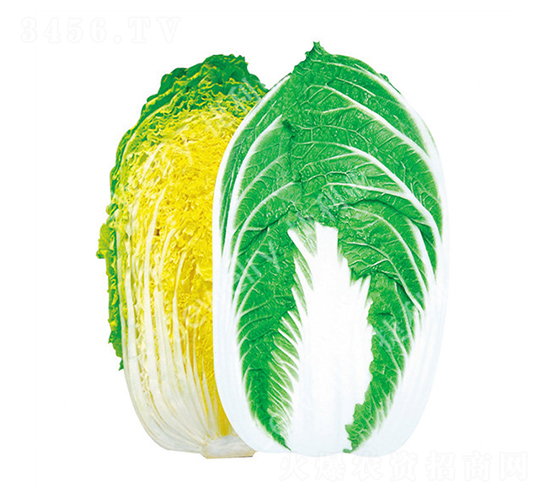 CR����-�ײ˷N��-������