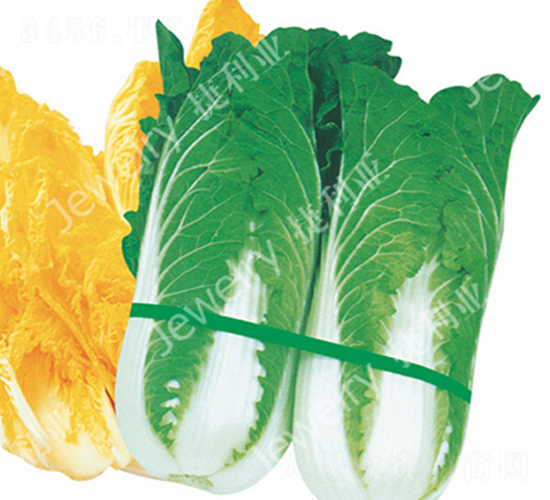 CR�����S-�ײ˷N��-������