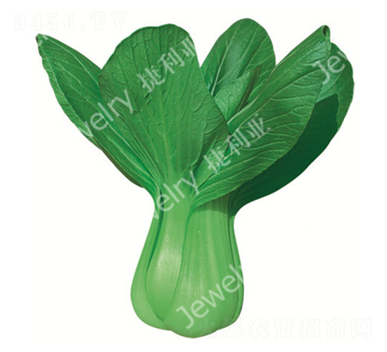 ������-�๣�˷N��-������